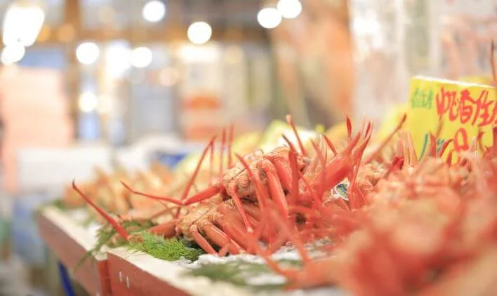 グルメも充実！但馬牛とカニを味わう贅沢のイメージ