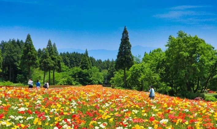 阿蘇・久住高原｜温泉と絶景を味わえる高原リゾートバイトのイメージ