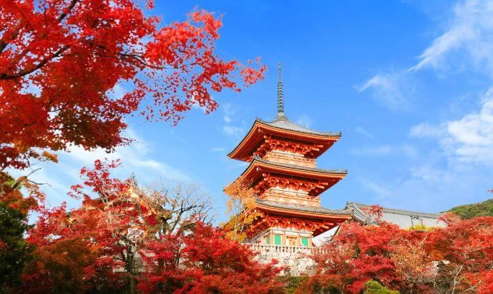 秋の京都リゾートバイトのイメージ