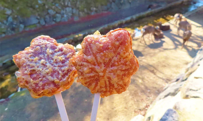 グルメも楽しめる!宮島での休日カフェ&食体験のイメージ