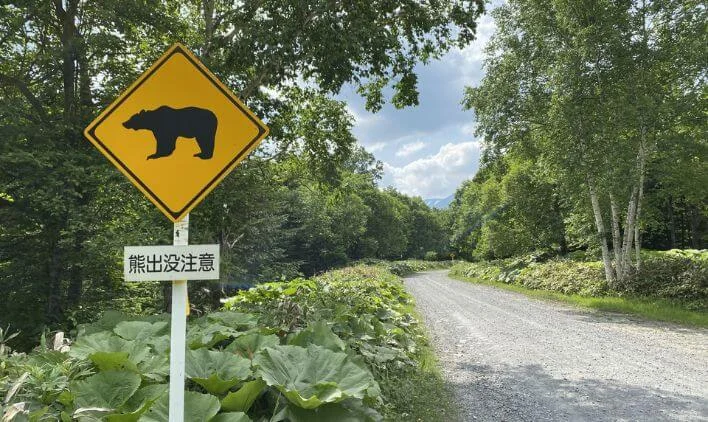 熊の出没が多いエリアで働く際の注意点のイメージ