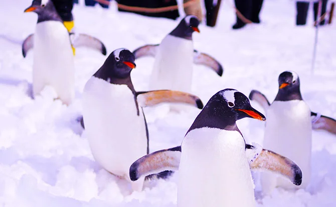 おたる水族館