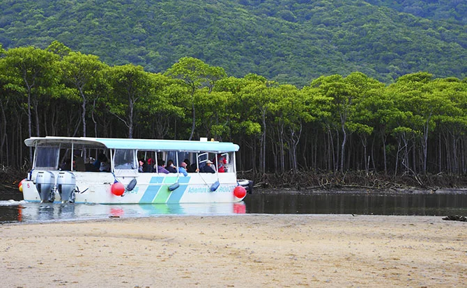 西表島・竹富島への日帰り小旅行