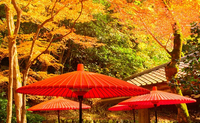 瑞宝寺公園