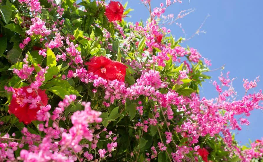 ＼沖縄離島☆石垣島／ハイクラス大型リゾートホテル！人気の通し勤務＆高時給＆契約満了手当あり✨