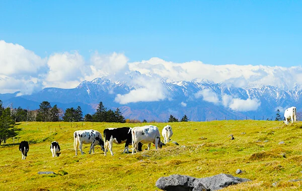 量環境画像（右下の画像）