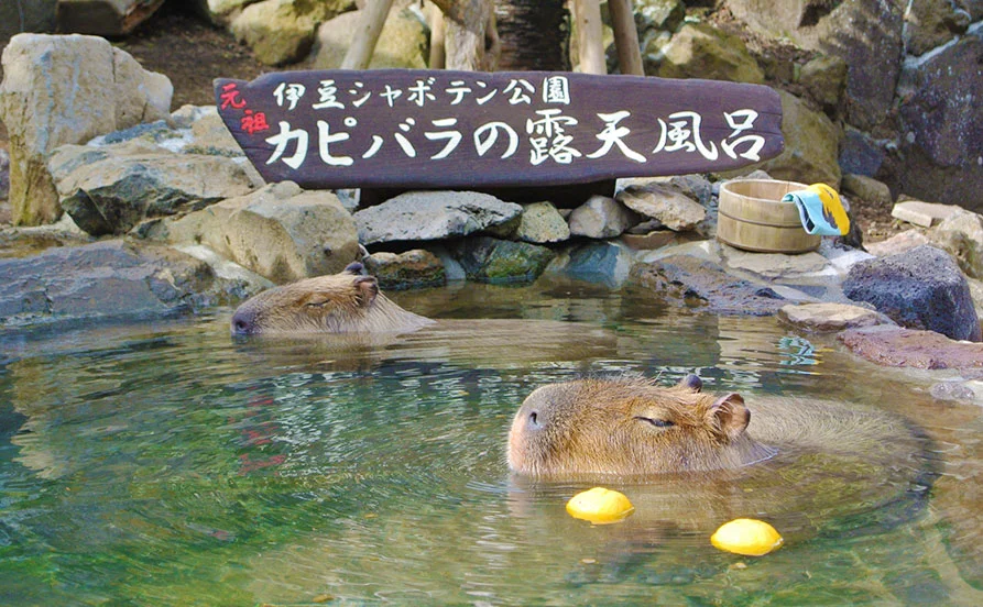 求人メイン