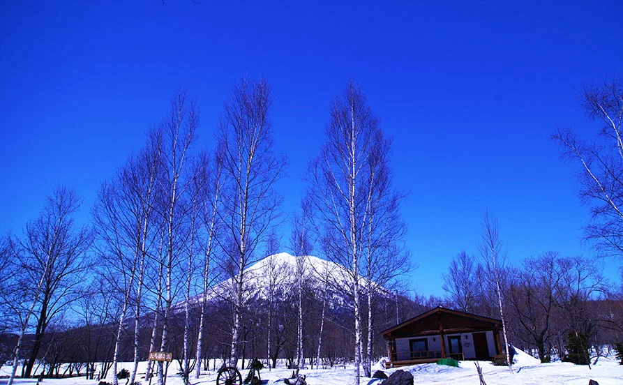 冬のニセコはまるで語学留学！バイリンガルやトリリンガルのスタッフさんが多数在籍するホテルのイタリアンレストランが職場です♪