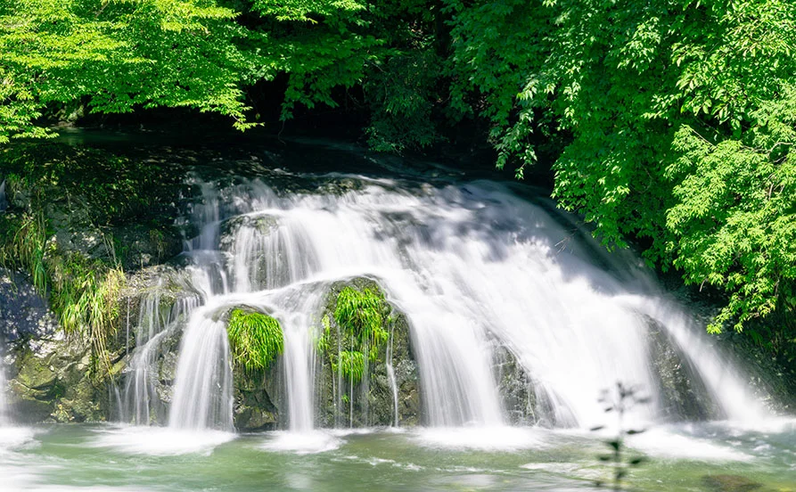 HP用スライダー画像1(左半分)