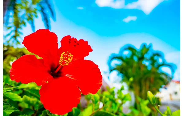 HP用スライダー画像2（右上）