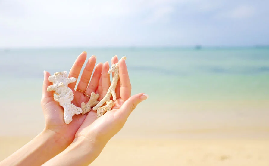 100室以上の大型施設！仲間も多く楽しく働けます😊🌺平日ショッピングバス運行あり🚌 買い物にも困りません！