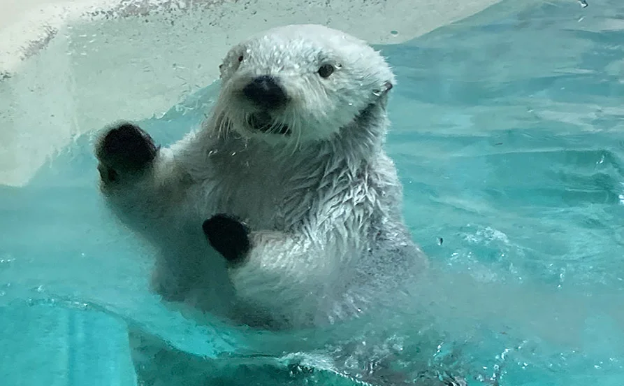 《11月》＼人気の通しシフト／鳥羽湾を一望する高台に佇む和風旅館《寮費無料》《個室》