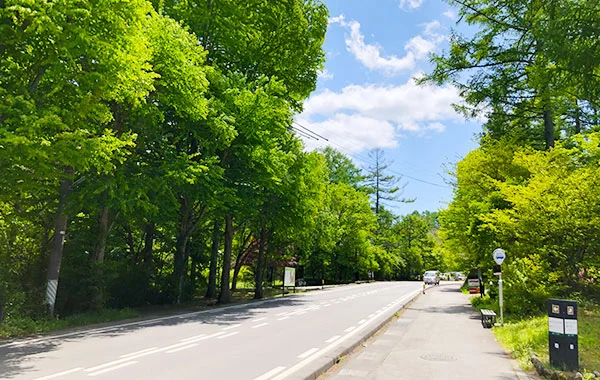 冬の求人チラ見せします。ホテルは大自然の中にあるのでお休みの日は森林浴やハイキングでリフレッシュできます！