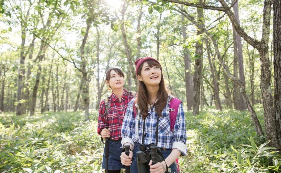 GWはリゾートバイト✨ファミリー層に人気の施設でバイキングの募集💁‍♂️子供好きな方にオススメ💡【未経験者歓迎】