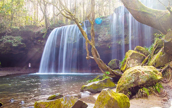 社員同士で仲が良い職場です🤗レストランホール♪【黒川温泉】温泉街中心に佇む小さな温泉旅館で未経験OK👌