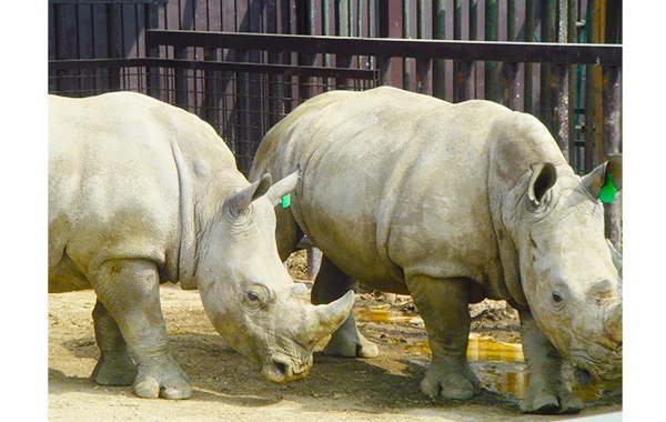 毎日のお風呂は温泉が使えます♪【川沿いのお宿でリゾートバイト】周辺栄えていてとっても便利