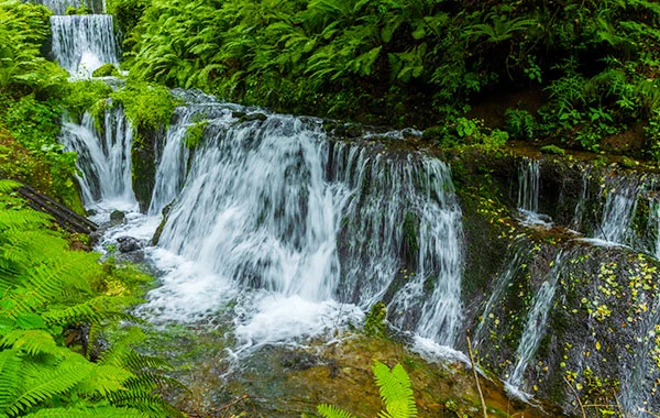 HP用スライダー画像1(左半分)