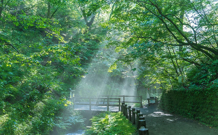 HP用スライダー画像2（右上）