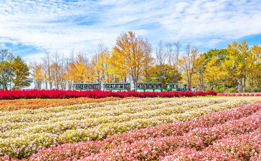 通しシフトで働きやすい【レア！リゾートバイト🐑】動物や大自然に囲まれたレジャー施設でのお仕事！語学を活かしたい方にもオススメ☆