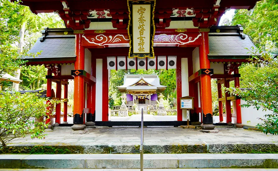 求人メイン