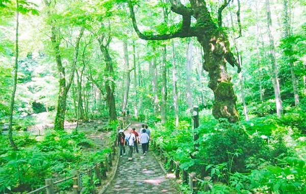 ＼10月スタート／【完全個室】人間関係🙆‍♂️青森県奥入瀬☆大自然🍃通し勤務！