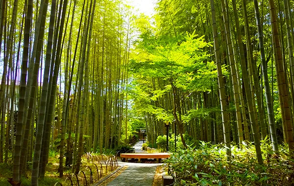 静岡県の相模湾を一望できるオーシャンビューのお宿でリゾートバイト★お仕事の後には温泉も楽しめます
