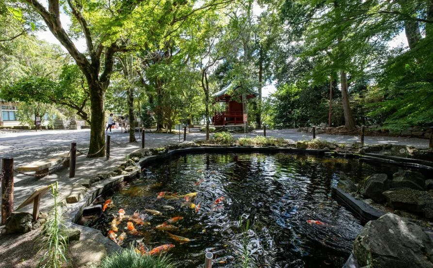 《高満了率》寮は個室で部屋内にバストイレ付🙌生活費かからないから貯金しやすい！海が好きなら絶対ココ！