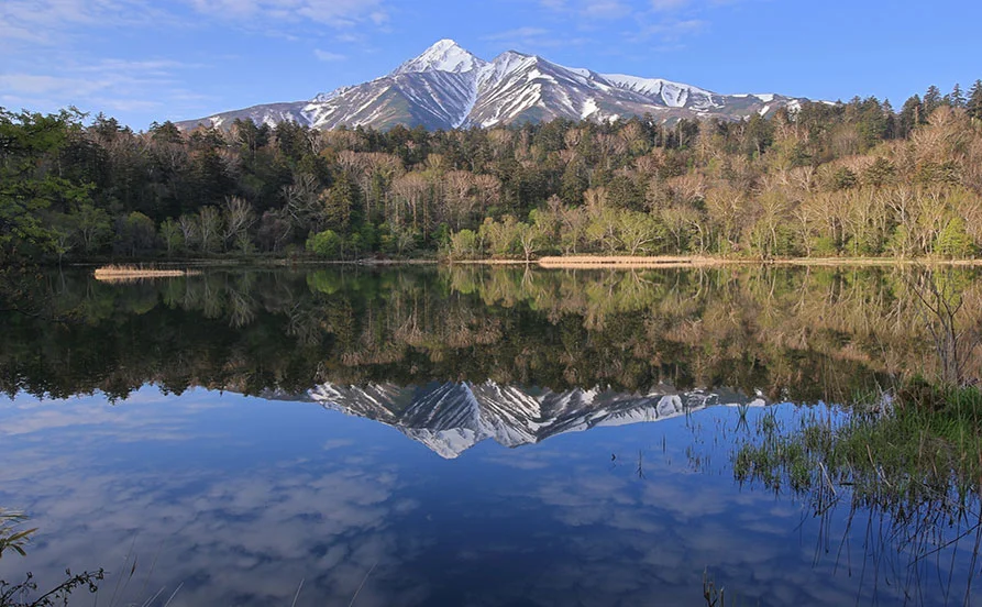HP用スライダー画像1(左半分)