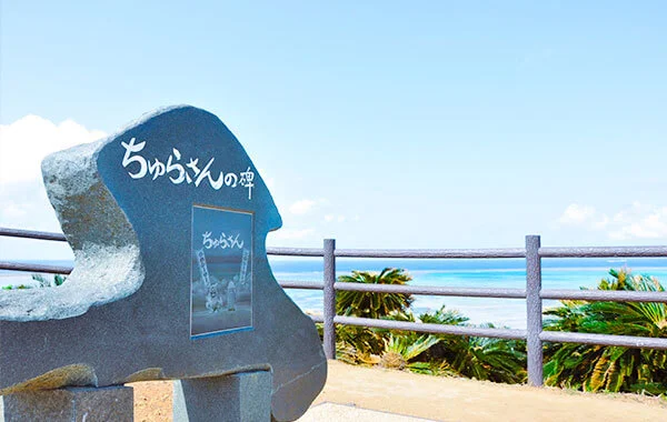 ＼早い者勝ち／大人気エリア沖縄で！さらに人気職種のプールスタッフ求人でました★自転車の貸し出しもあり便利