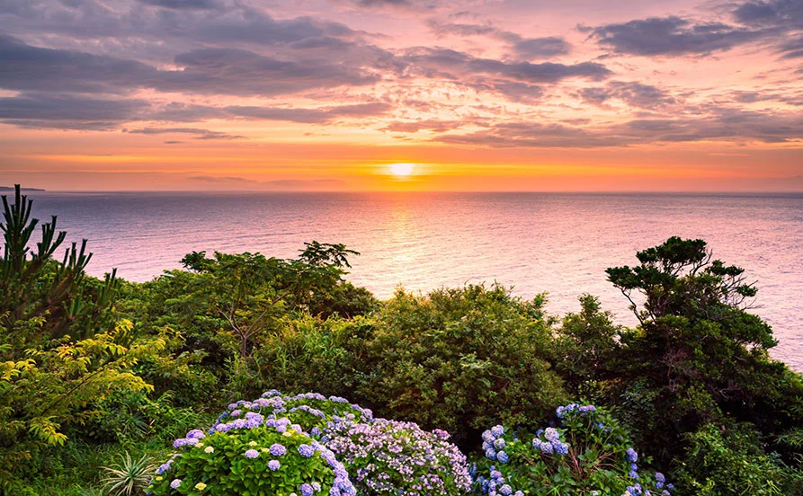 【秋の東伊豆🍁】目の前は海！絶景の温泉ホテル《買い出しの心配なし！》コンビニ、スーパー徒歩圏内で生活便利です！