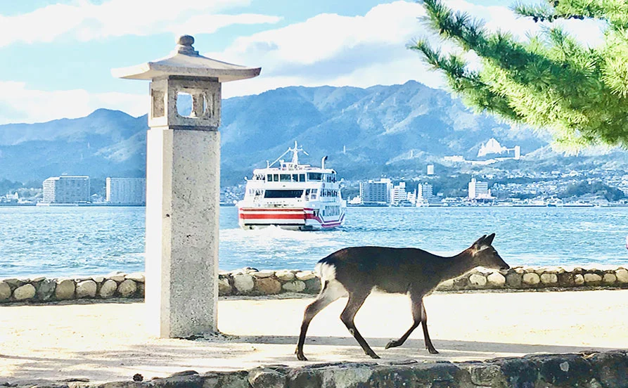 求人メイン