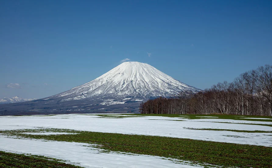 求人メイン