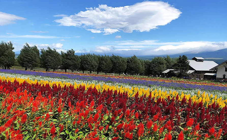 HP用スライダー画像2（右上）