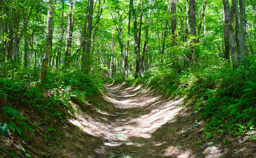 量環境画像（右下の画像）