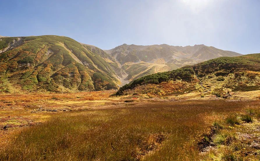 息をのむ絶景！秋の立山で働こう【絶景高原ホテル】休日も含め食事が3食付／寮は嬉しいWi-Fi完備♪