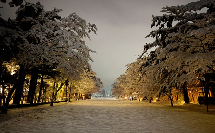 量環境画像（右下の画像）