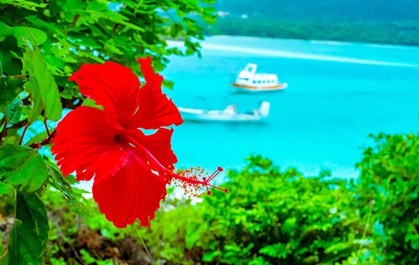 HP用スライダー画像1(左半分)