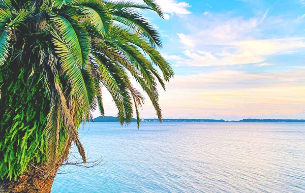 天然温泉の三ヶ日温泉に毎日入浴できる？！浜名湖の秋におすすめ求人！高時給💰【客室寮or完全個室寮・寮費無料✨】