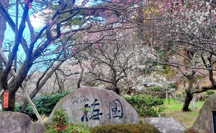 量環境画像（右下の画像）