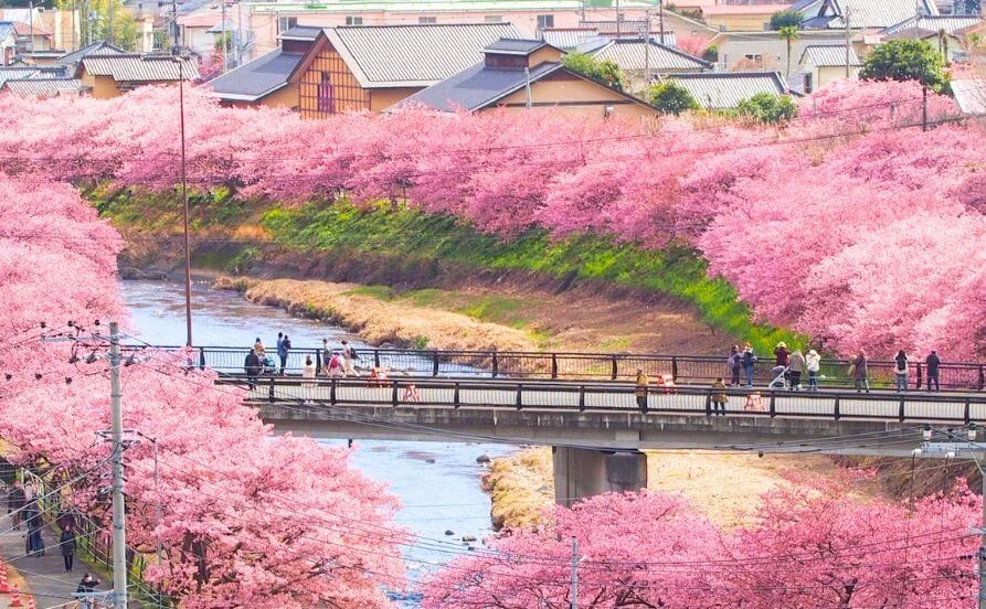 HP用スライダー画像1(左半分)