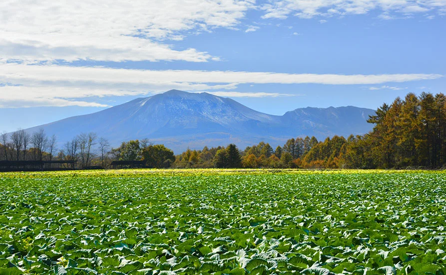 量環境画像（右下の画像）