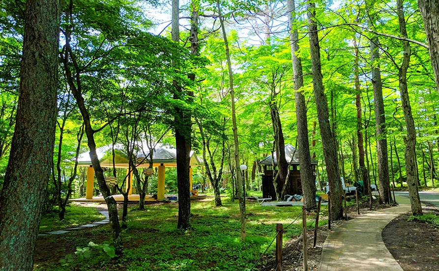 HP用スライダー画像2（右上）