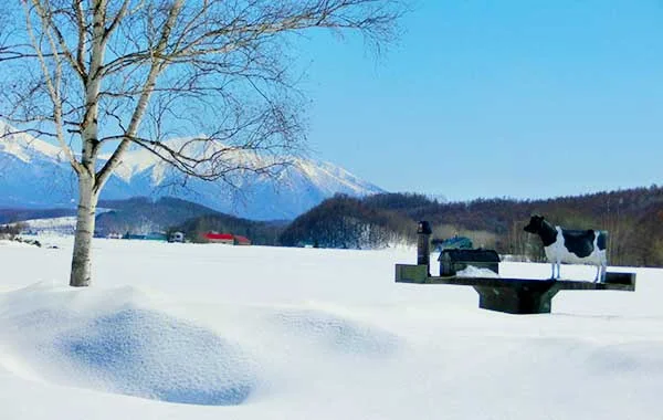 スタッフの数も多く、明るく元気いっぱい！【大人気大型スキー場でリゾートバイト】