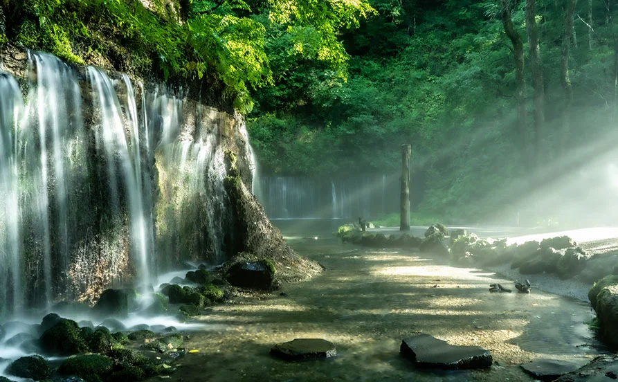 量環境画像（右下の画像）