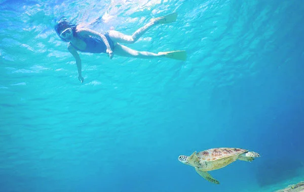 HP用スライダー画像2（右上）