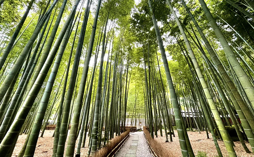 HP用スライダー画像2（右上）