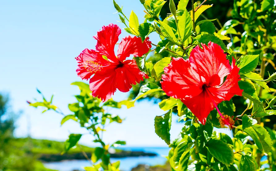 HP用スライダー画像2（右上）