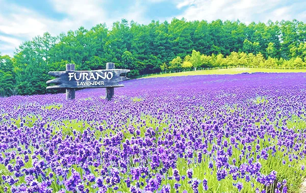 HP用スライダー画像2（右上）