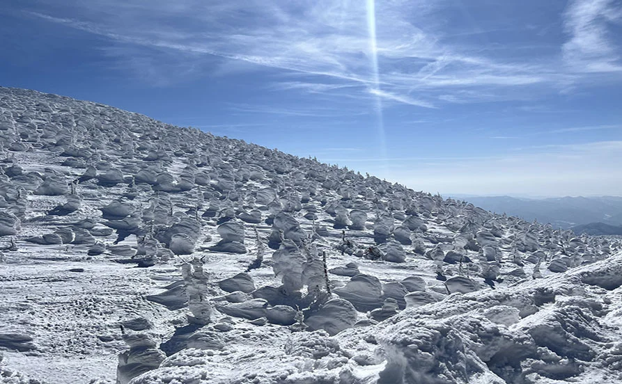 HP用スライダー画像1(左半分)