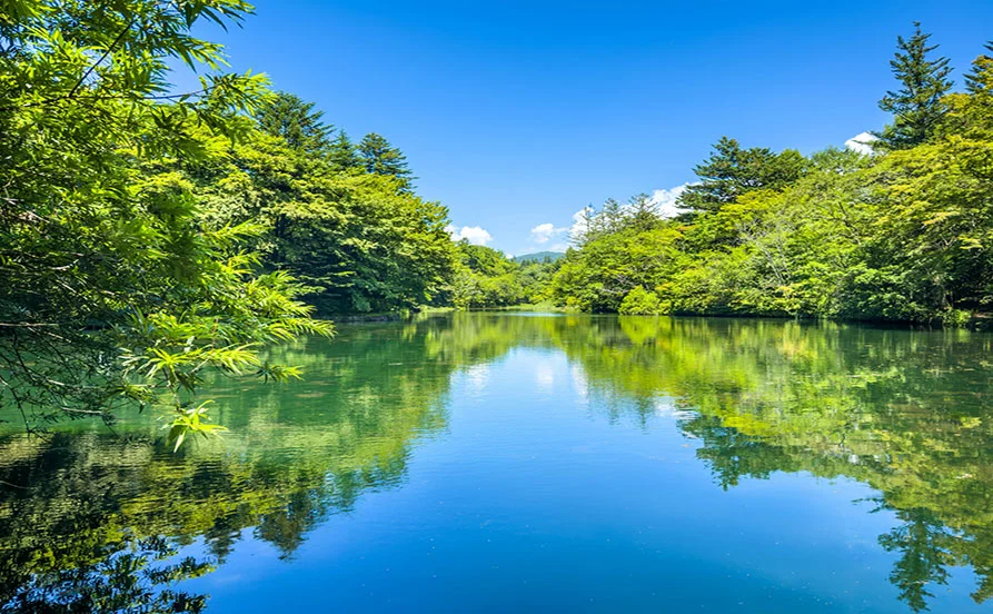 求人メイン